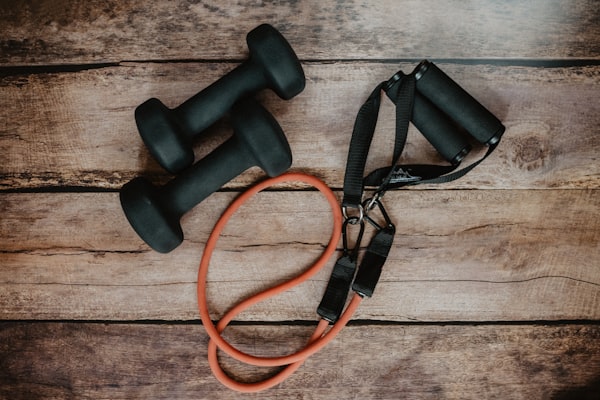 Adjustable Cast Iron Dumbbell Set 20kg
