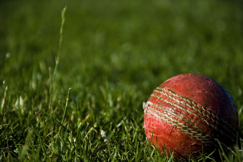 Cricket Equipment